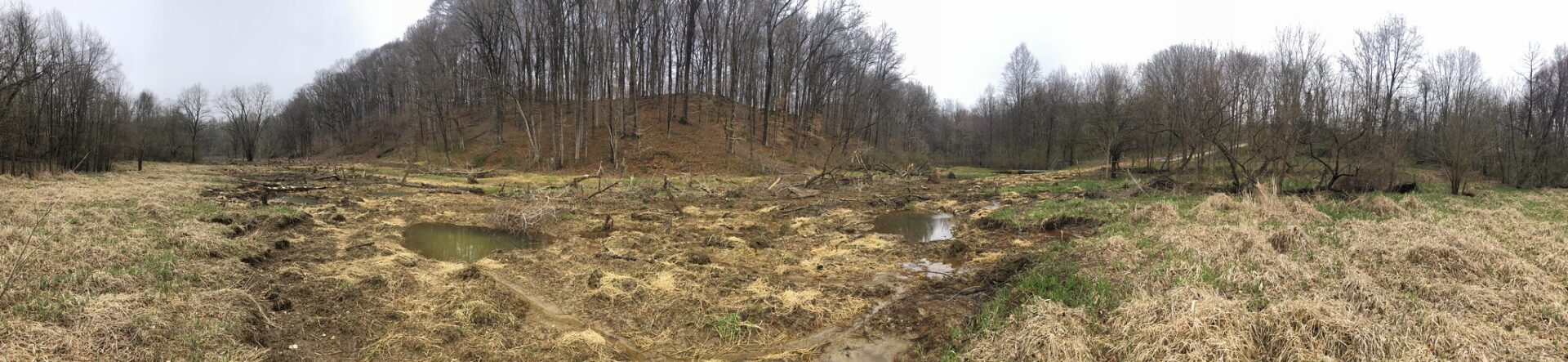 ecotone inc maryland ecotone inc maryland