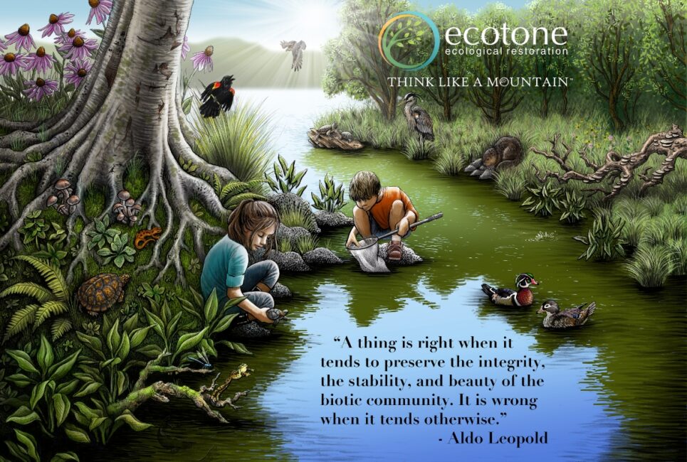 Why? – Ecotone, Inc