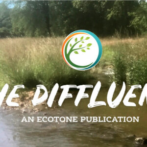 ecotone inc maryland ecotone inc maryland