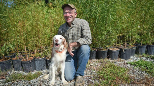ecotone inc maryland ecotone inc maryland