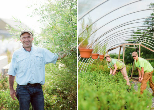 ecotone inc maryland ecotone inc maryland