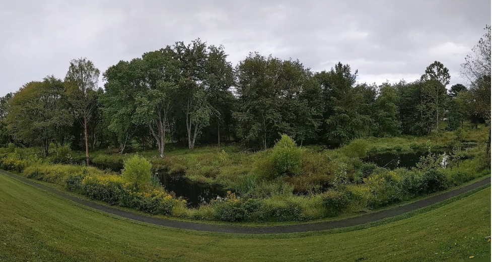 View of North Creek