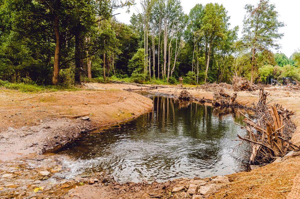 natural Mikvah