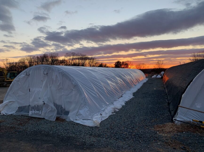 our native nursery in winter with sunsetting