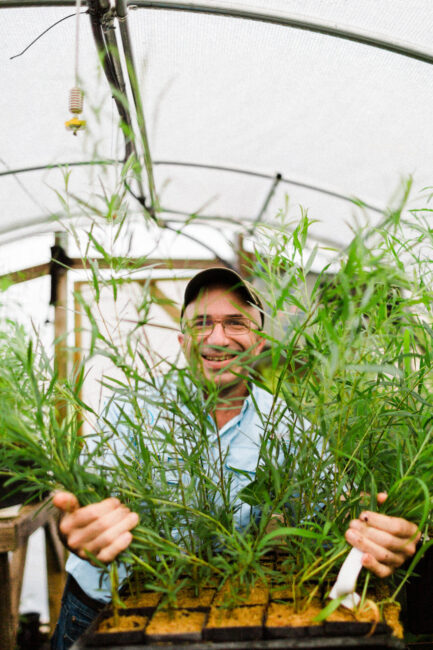 Scott McGill in Native Nursery Enjoying willows