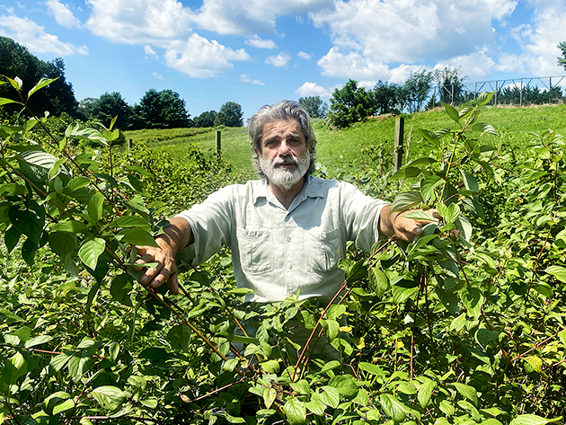 portrait of wally vait in lush green bush